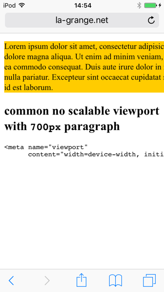 Screenshot of safari viewport