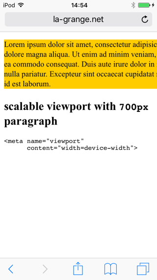 Screenshot of safari viewport