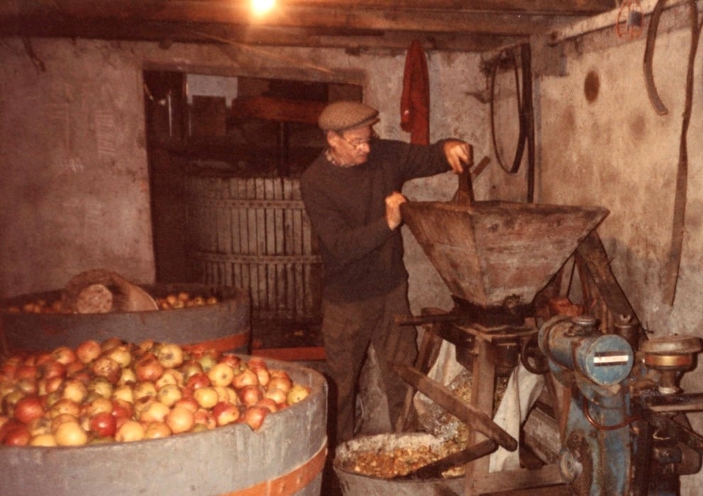 Man near the grinder with apples in a big barrel.